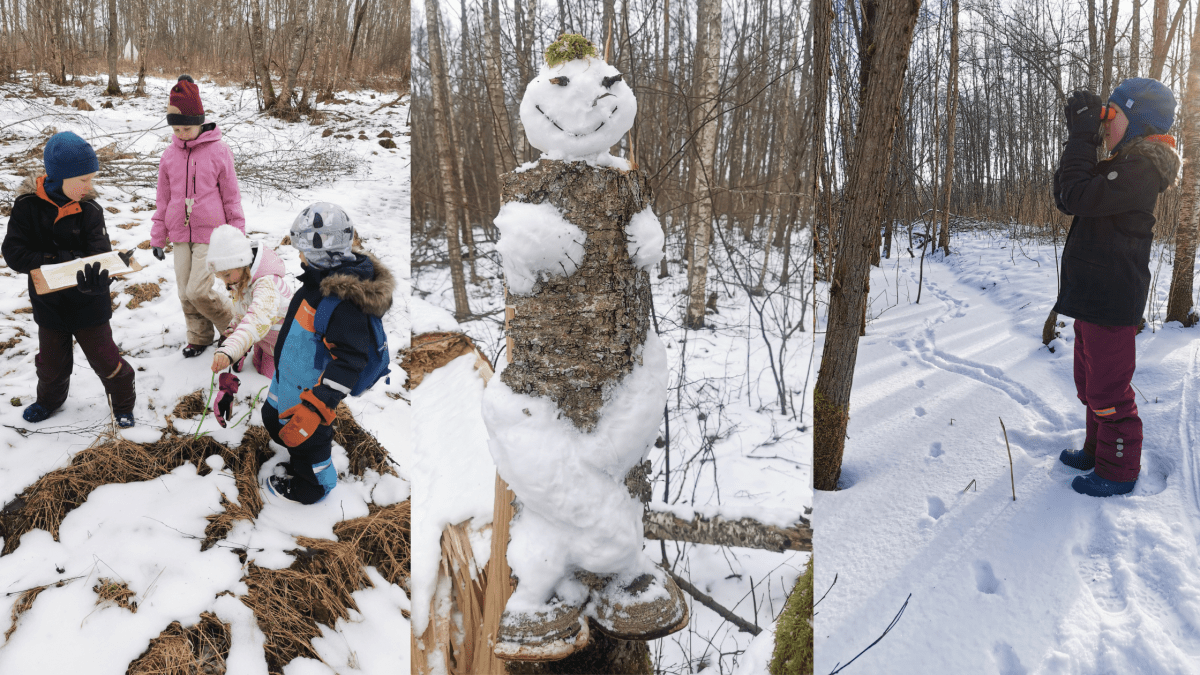 Puhke ja seikluslaager – Talvised&nbsp;metsatarkused!